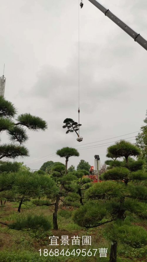 eߙnG䑪ԓxʲô䣿