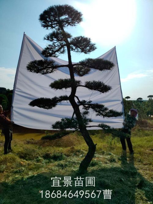 微信圖片_20201106090434.jpg
