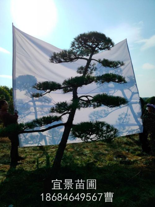 微信圖片_20201106090354.jpg